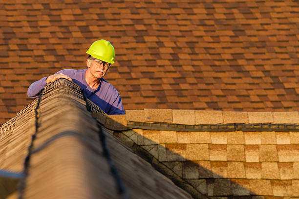 Best Storm Damage Roof Repair  in Moorefield, WV