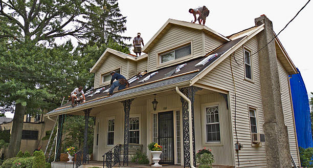 Best Roof Maintenance Services  in Moorefield, WV