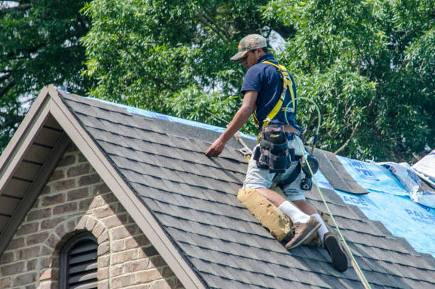 Best Sealant for Roof  in Moorefield, WV